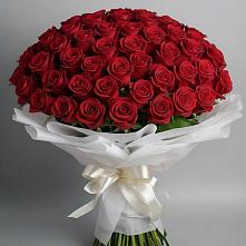 Букет 101 Красная роза Блэк Мэджик в Знаменке