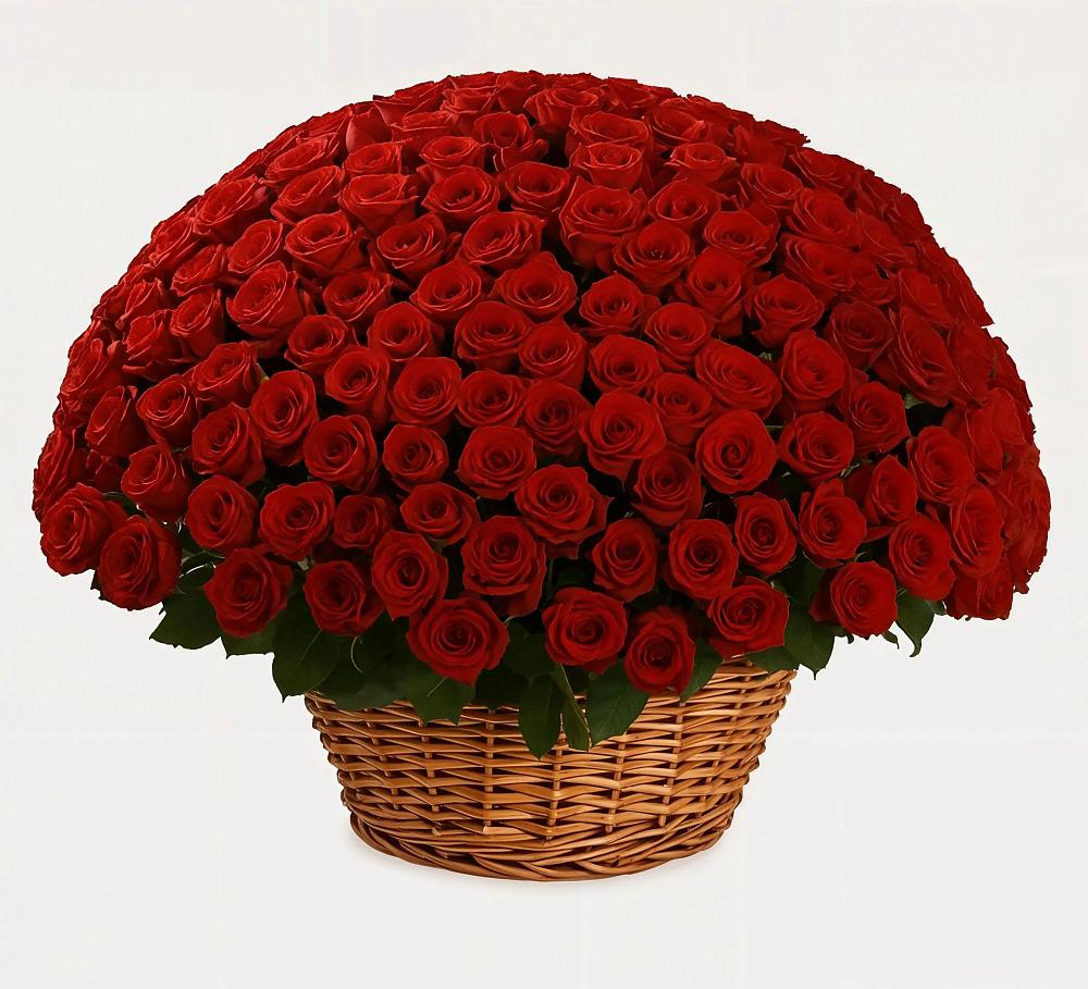 Премиум букет из: Розы в Знаменке