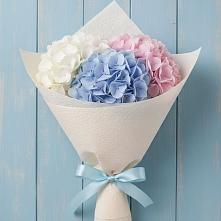 Букет цветов из:  Гортензия в Знаменке