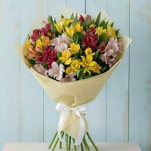 Букет цветов из:  Альстромерии #REPLACE_PRED# Знаменке