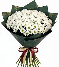 Букет цветов из:  Хризантемы #REPLACE_PRED# Знаменке