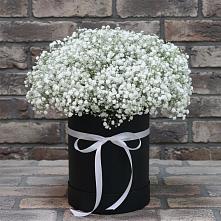 Цветочная композиция из Гипсофила в шляпной коробке в Знаменке