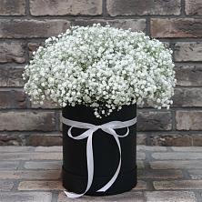 Цветочная композиция из Гипсофила в шляпной коробке в Знаменке